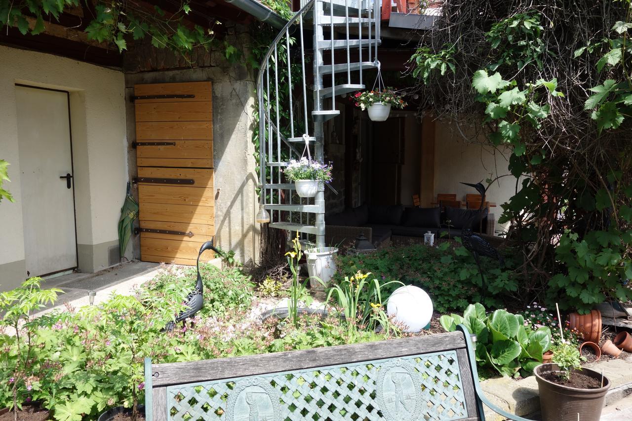 ホテル Zehnthof Geldersheim エクステリア 写真